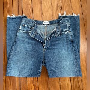 AGOLDE Riley High Rise Straight Crop Jean